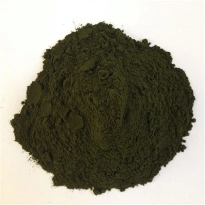 Poudre ti chlorella pyrénoïdose